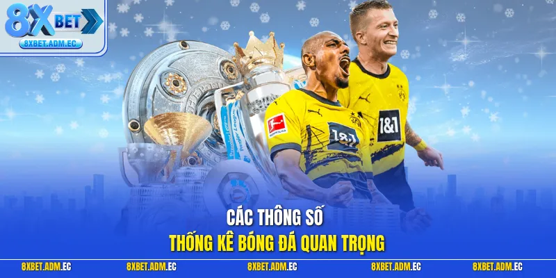 Các thông số thống kê bóng đá quan trọng
