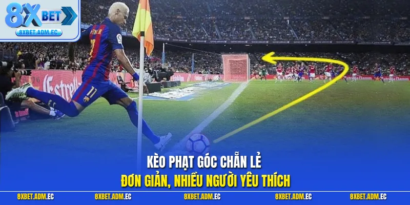 Kèo phạt góc chẵn lẻ đơn giản, nhiều người yêu thích