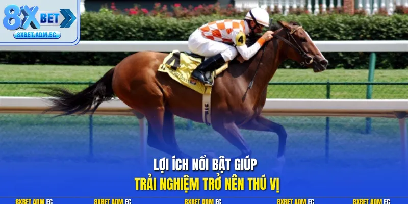 Lợi ích nổi bật giúp trải nghiệm trở nên thú vị