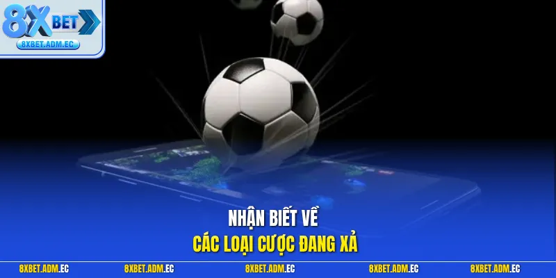 Nhận biết về các loại cược đang xả