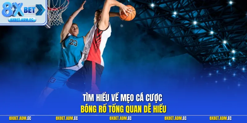 Tìm hiểu về mẹo cá cược bóng rổ tổng quan dễ hiểu